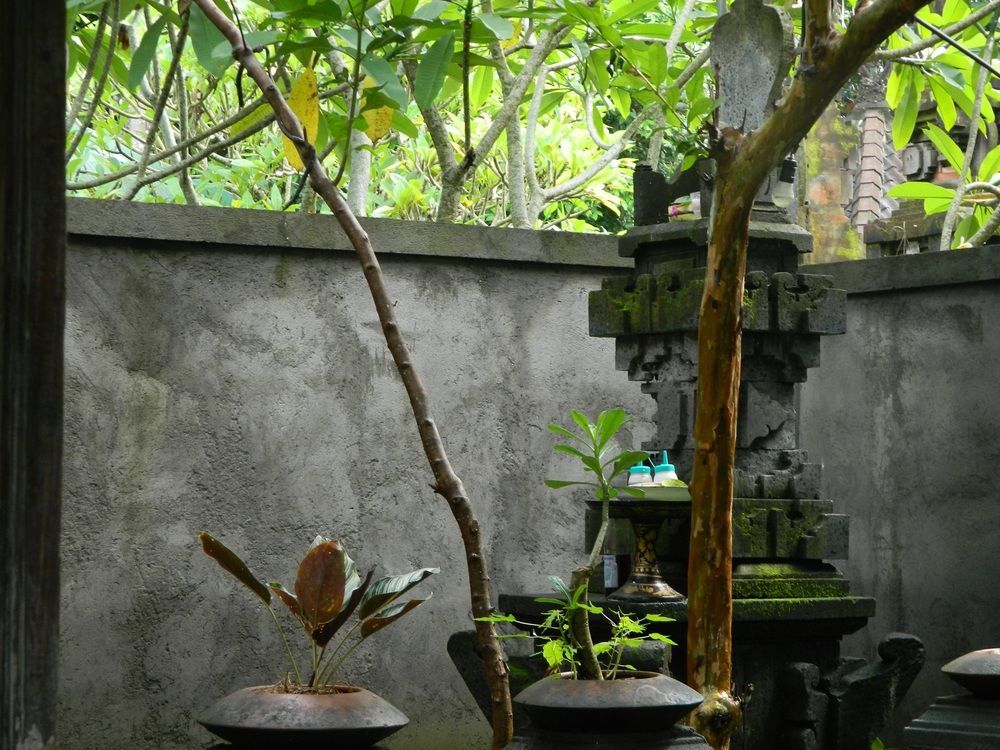 D'Tegale Homestay Cepaka Exterior foto